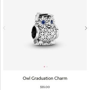 Pandora Owl Graduation Charm